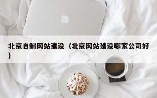 吉安北京自制网站建设（北京网站建设哪家公司好）